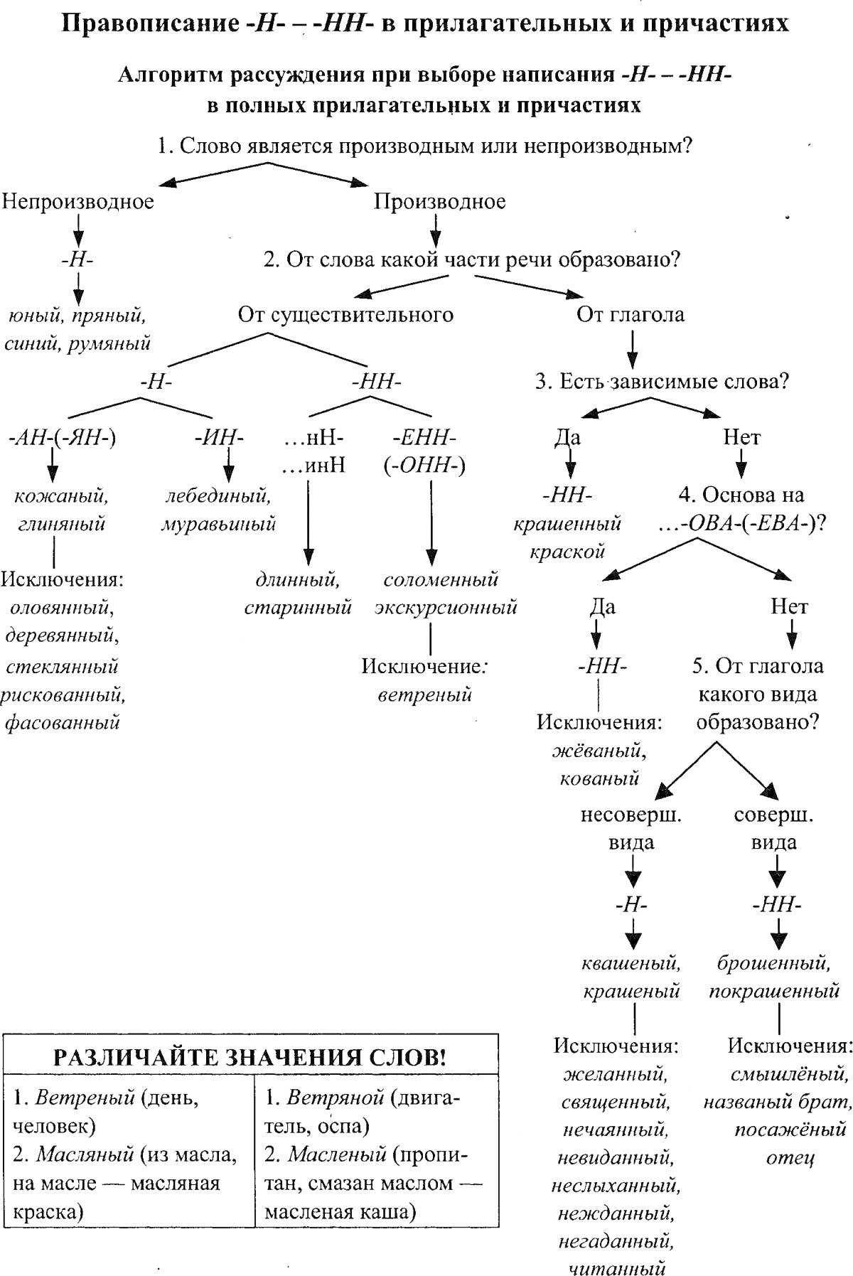 На раскраске изображено: Правописание, Прилагательные, Причастия, Алгоритм