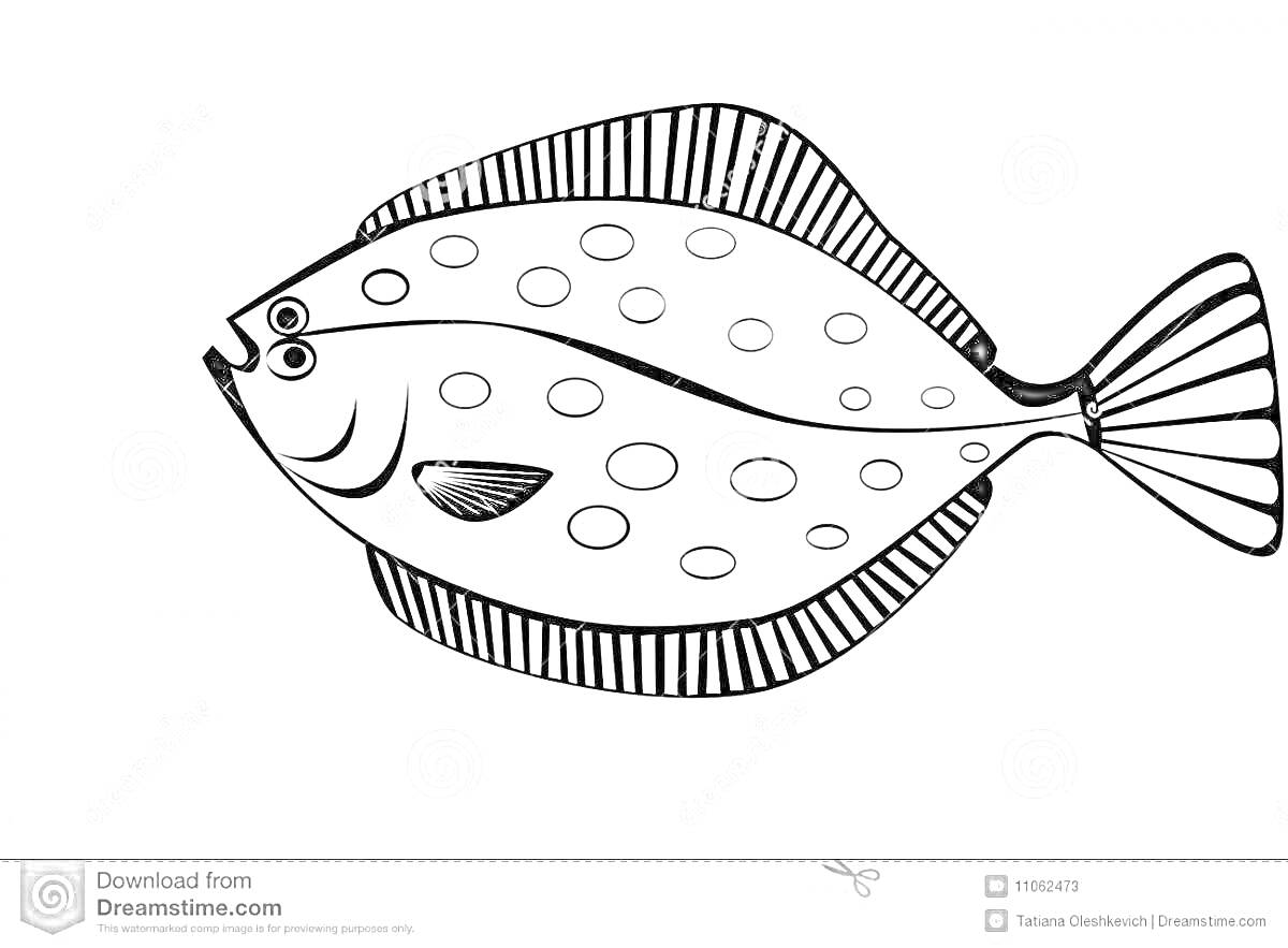 Раскраска Камбала с пятнами и плавниками