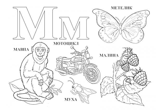 Картинки Раскраски М