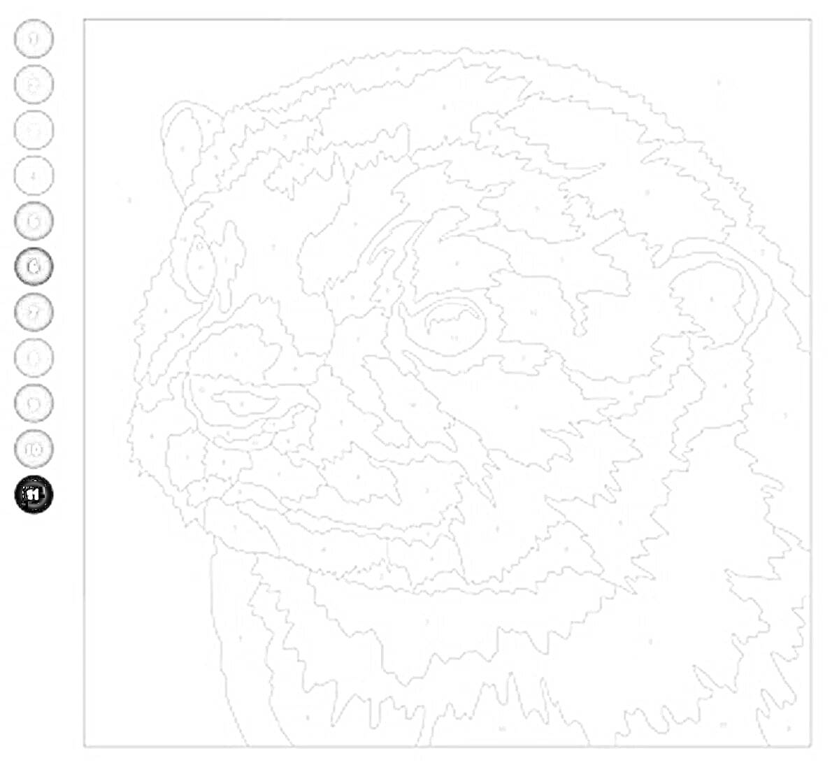 Раскраска Енот (лицо и передняя часть туловища)