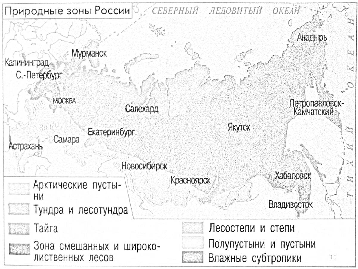 Раскраска Карта природных зон России с выделением арктических пустынь, тундры и лесотундры, тайги, зоны смешанных и широколиственных лесов, лесостепей и степей, полупустынь и пустынь, и влажных субтропиков