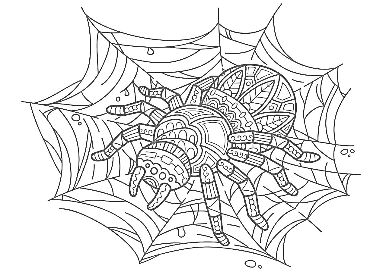 Раскраска Антистресс раскраска паука со сложным узором на паутине и каплями росы