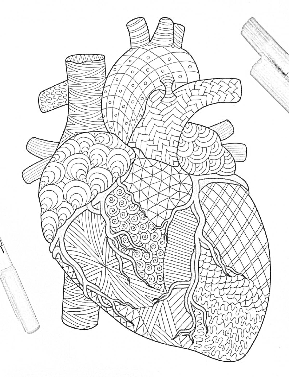Раскраска Раскраска человеческого сердца с абстрактными узорами и двумя маркерами рядом