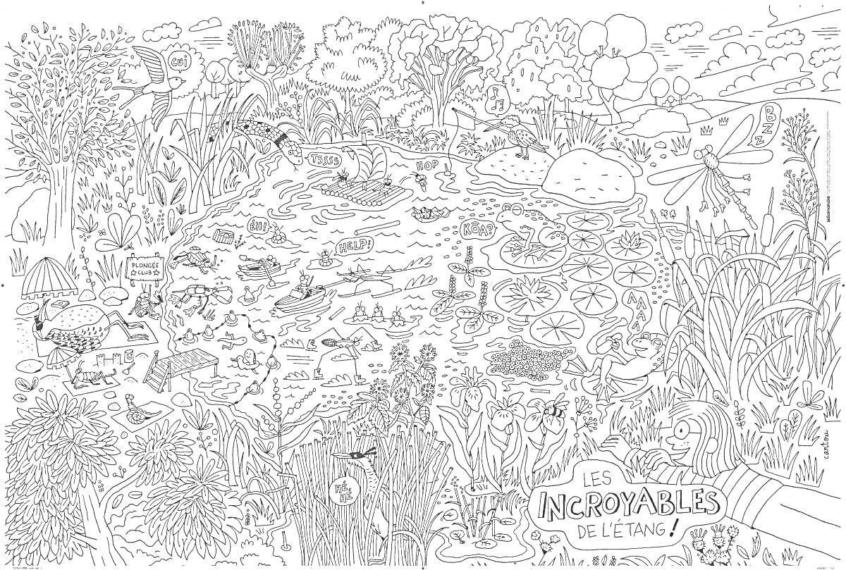 Раскраска Гигантская раскраска для детей с изображением пруда с лягушками, рыбами в воде, водными насекомыми, цветами, растениями, деревьями, камышами, камнями, бабочками, пчелами, улитками, птицами и стрекозой.