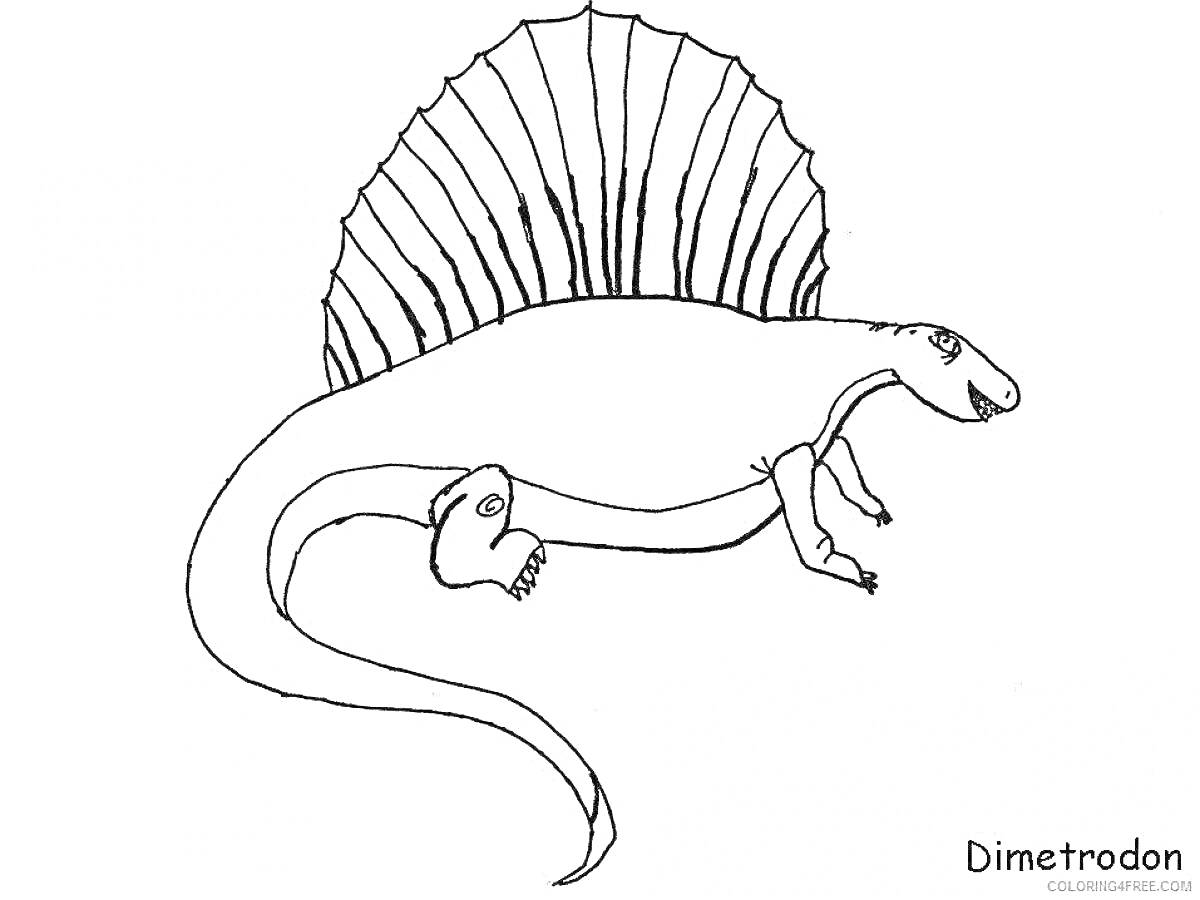 Раскраска Диметродон с парусом на спине, вид сбоку