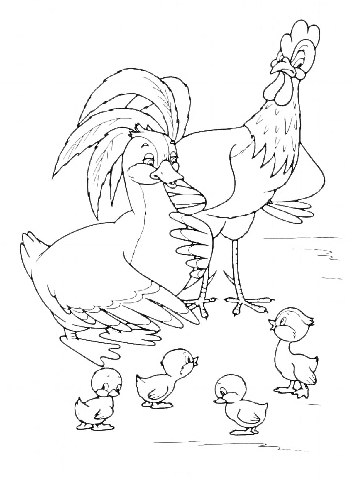 Раскраска Петух, курица и пять цыплят