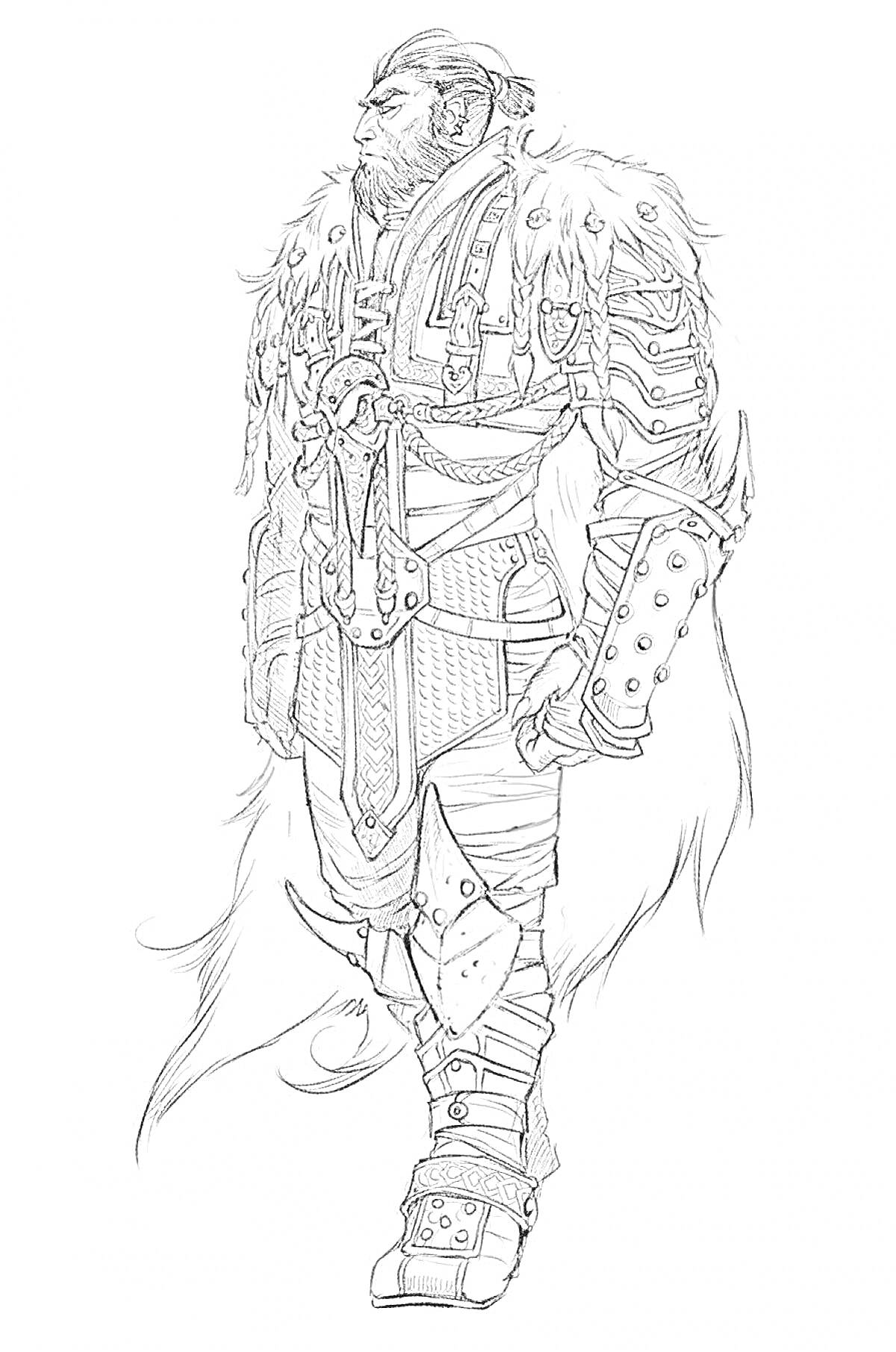 Раскраска Воин в доспехах с мехом и бородой