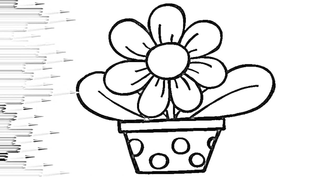 Раскраска Цветик семицветик в горшочке с горошинами, кружочками и карандашами сбоку