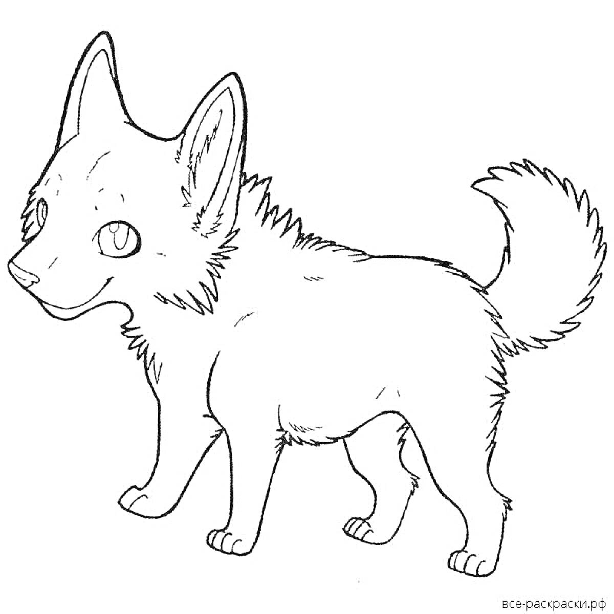 Раскраска Волчонок с поднятыми ушками и пушистым хвостом