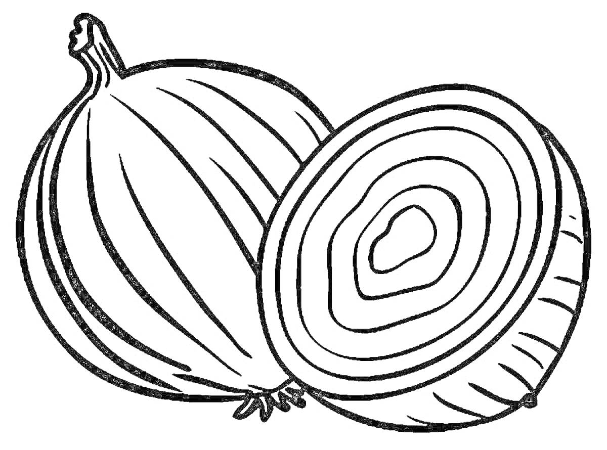 Раскраска Лук с цельным и нарезанным кусочком