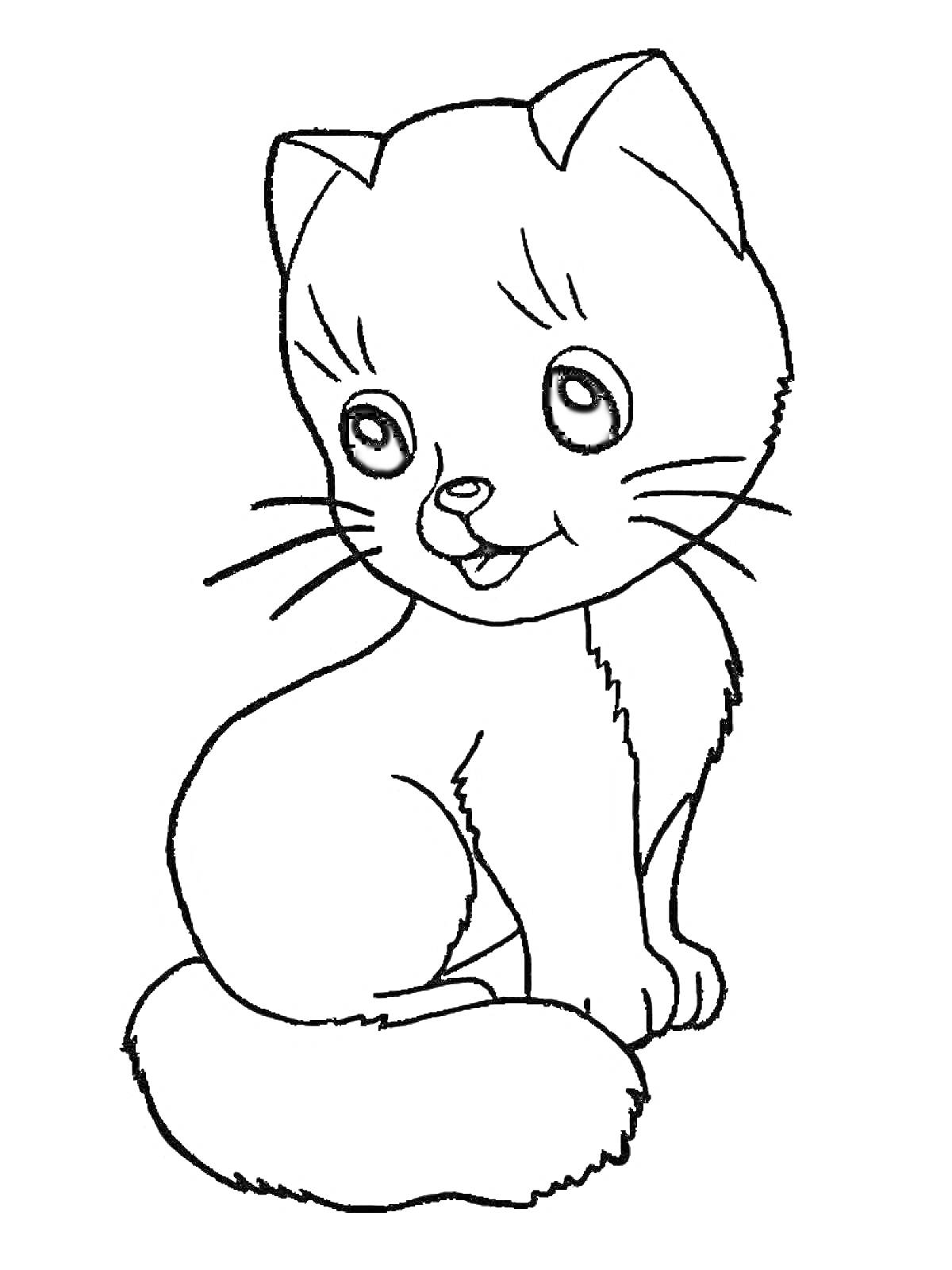 Раскраска Котик сидящий с высунутым языком