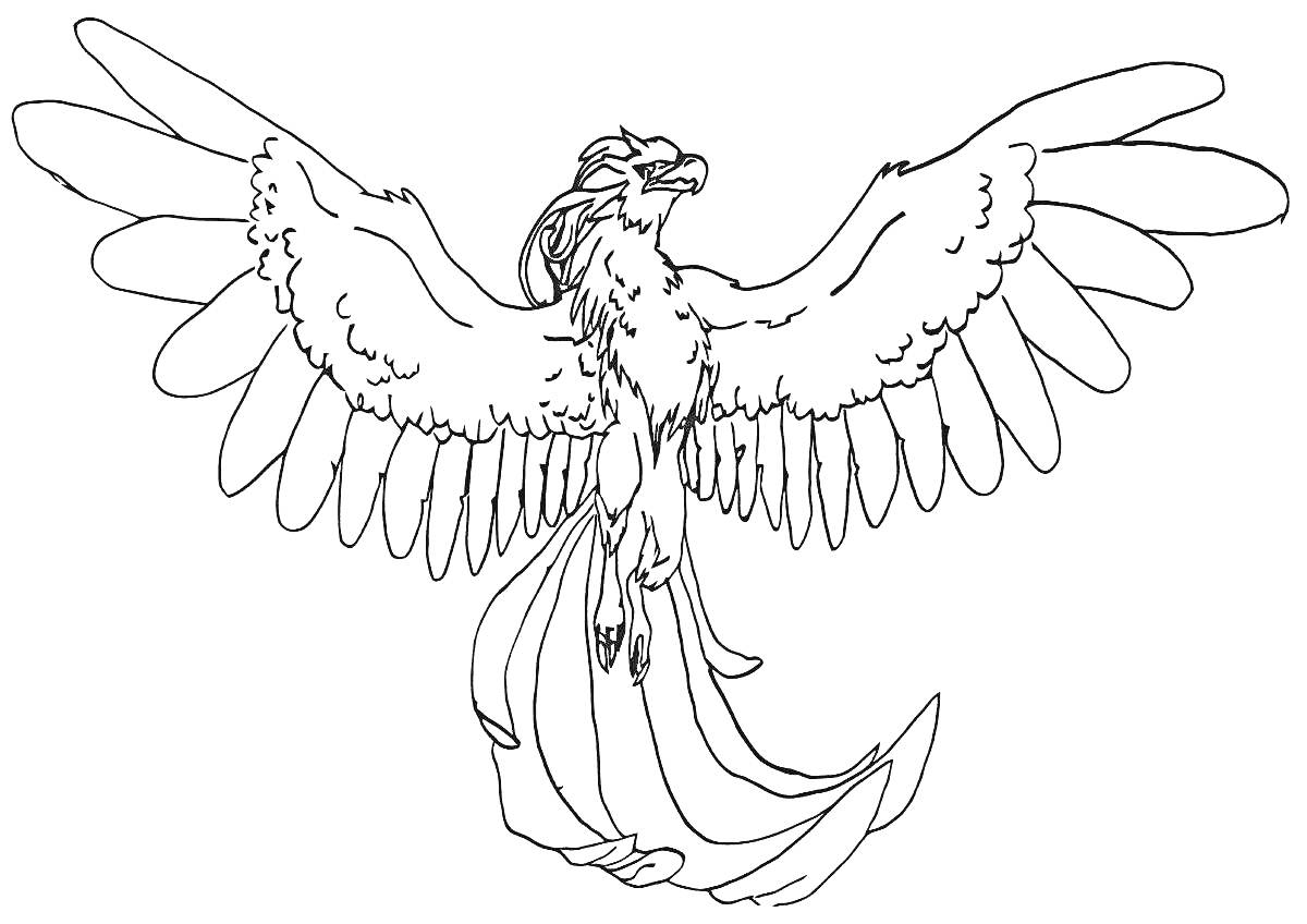 Раскраска Грифон с расправленными крыльями, длинным хвостом и поднятой головой