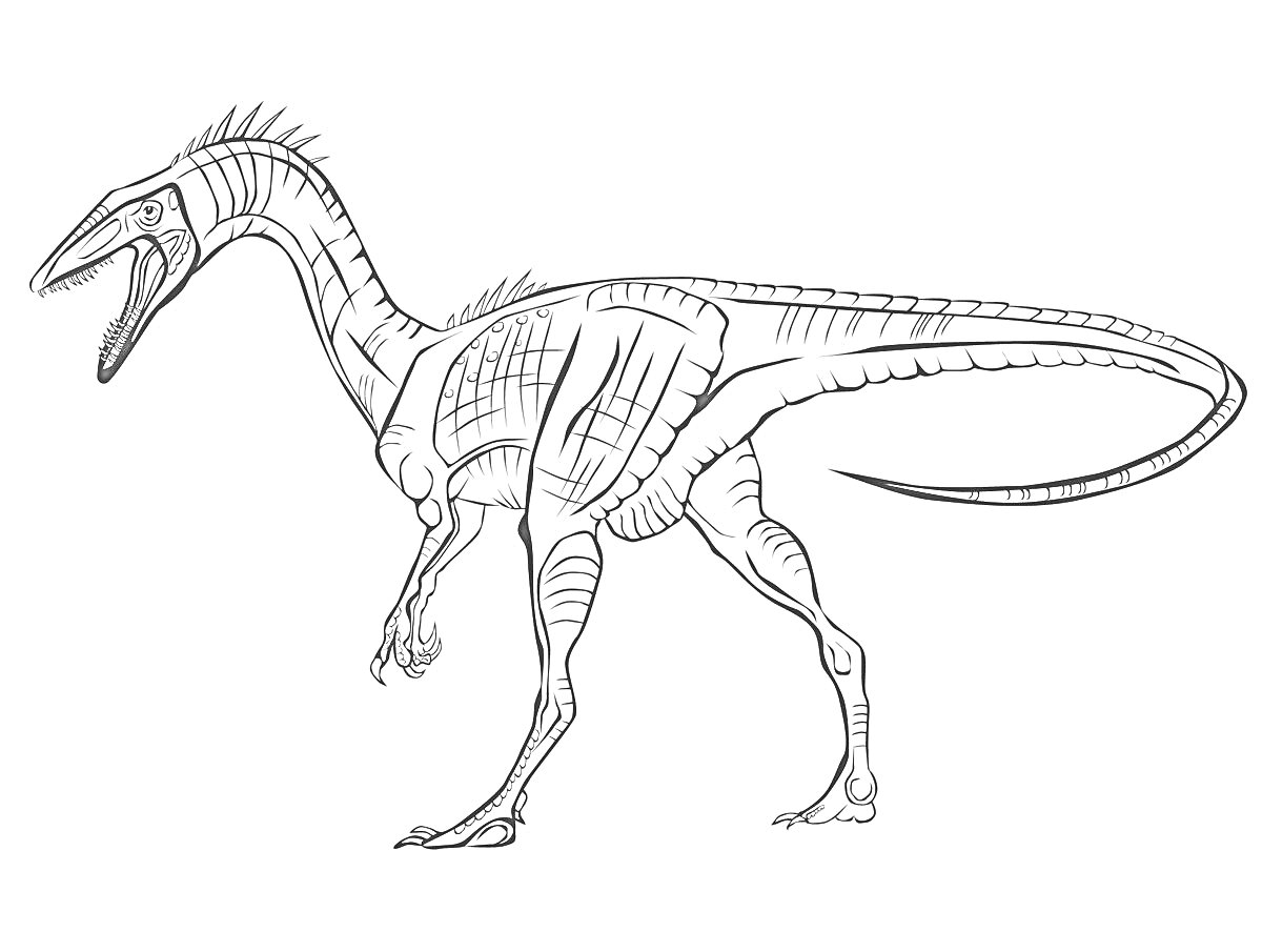 Раскраска Динозавр с открытой пастью, длинным хвостом и шипами на спине