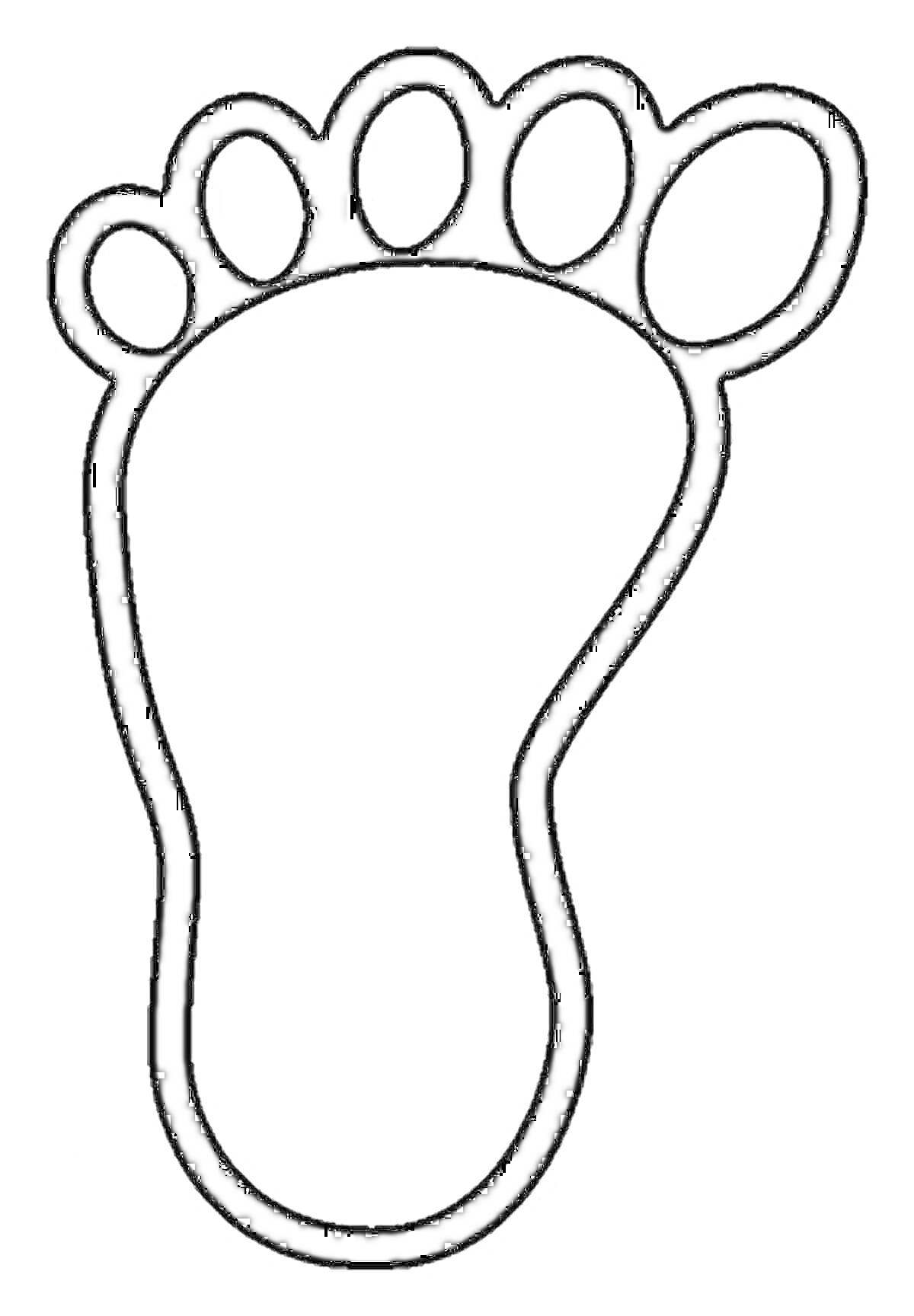 Раскраска Контур стопы с пятью пальцами