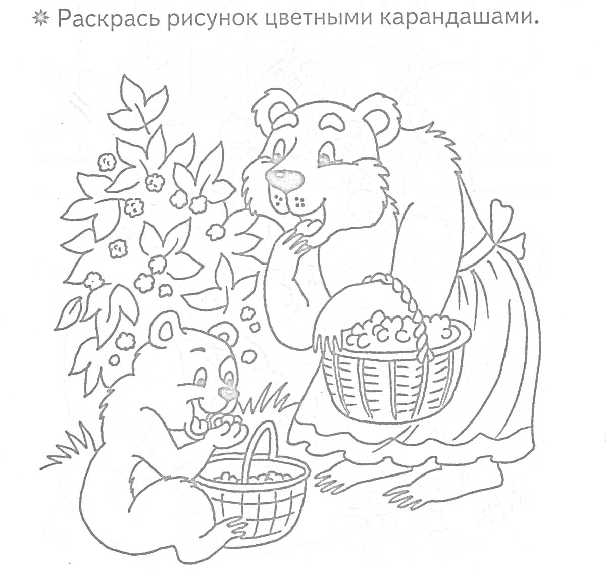 На раскраске изображено: Ягоды, Корзина, Природа, Лес, Медведь