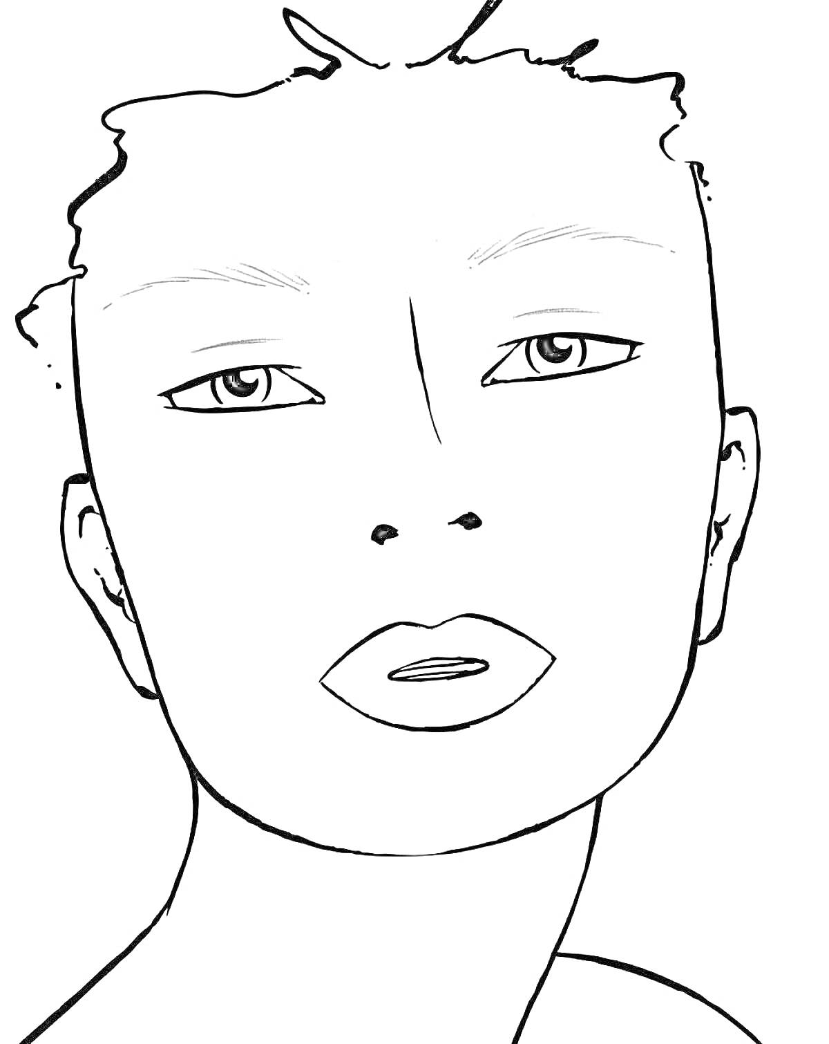 Раскраска Лицо для макияжа с волосами, бровями, глазами, носом и губами