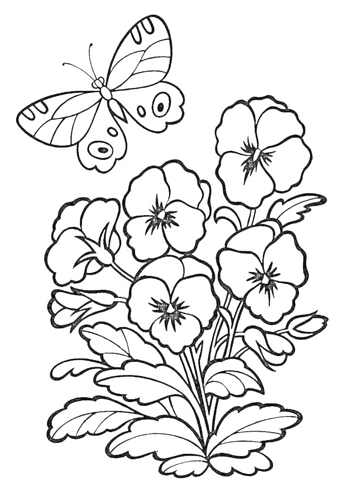 На раскраске изображено: Герань, Цветы, Бабочка, Листья, Растительность, Природа