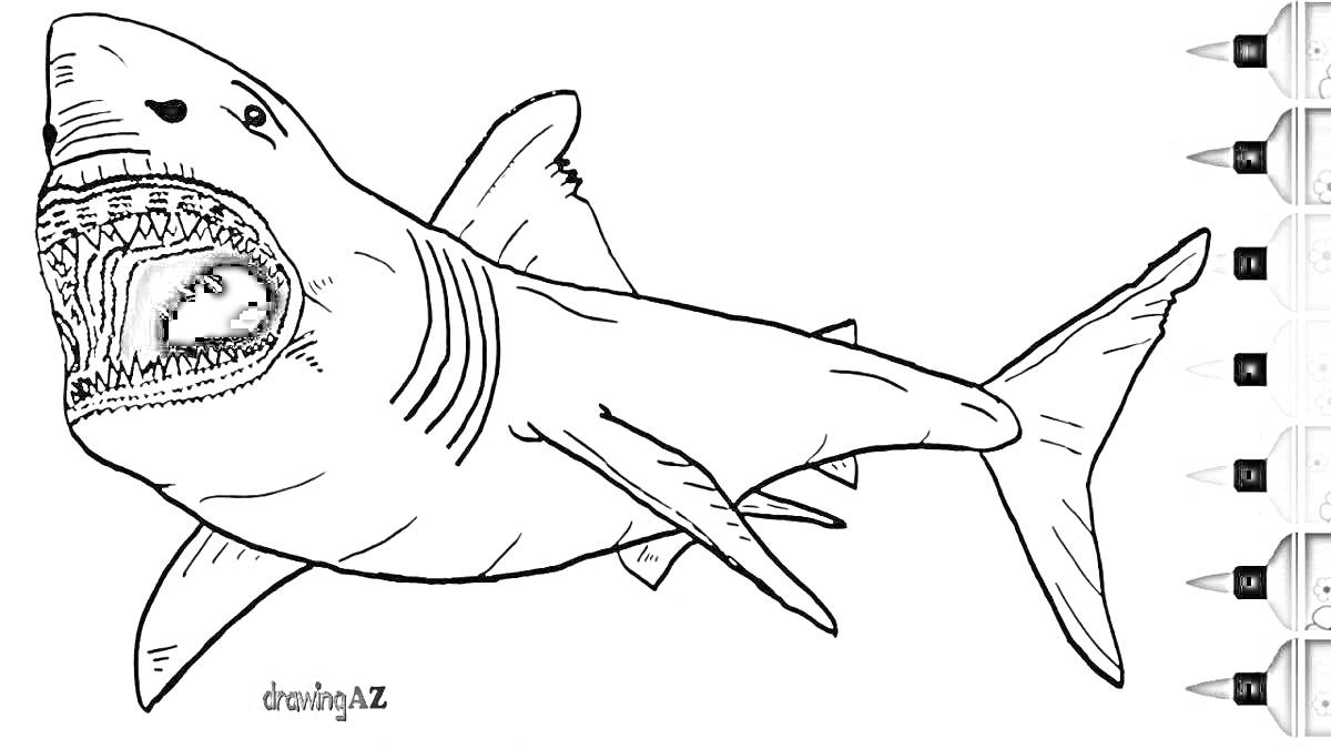 Раскраска Мегалодон с открытой пастью и кисточками различных цветов сбоку