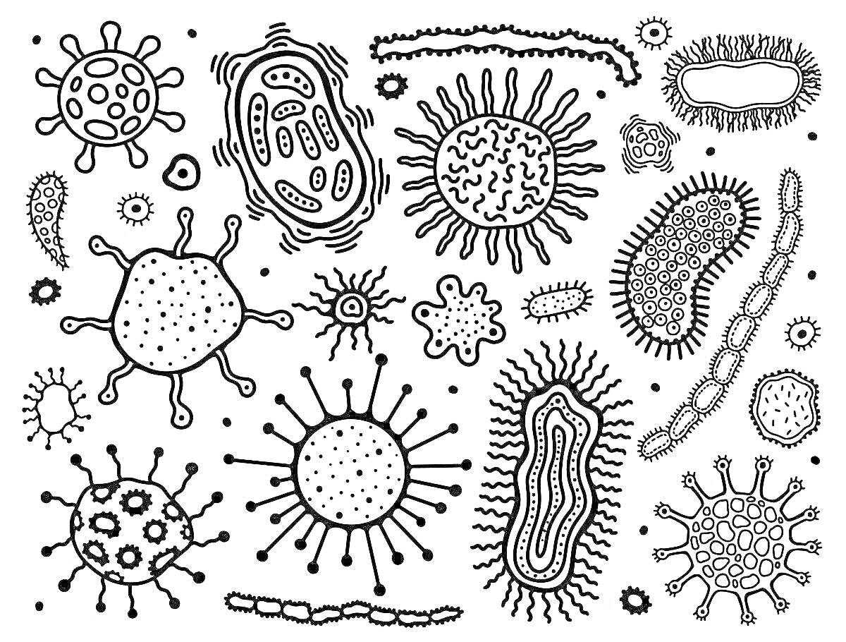 На раскраске изображено: Вирусы, Бактерии, Микробы, Микроорганизмы, Образование, Биология