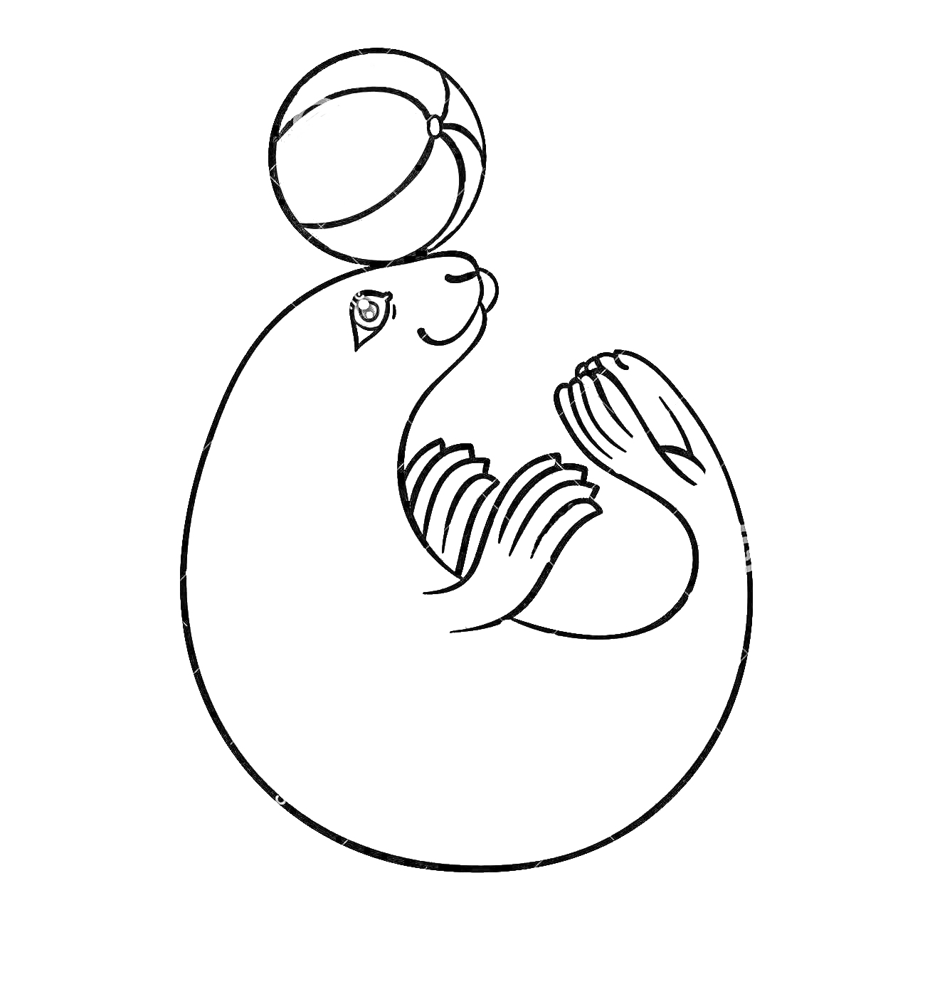 Раскраска Тюлень с мячом на носу