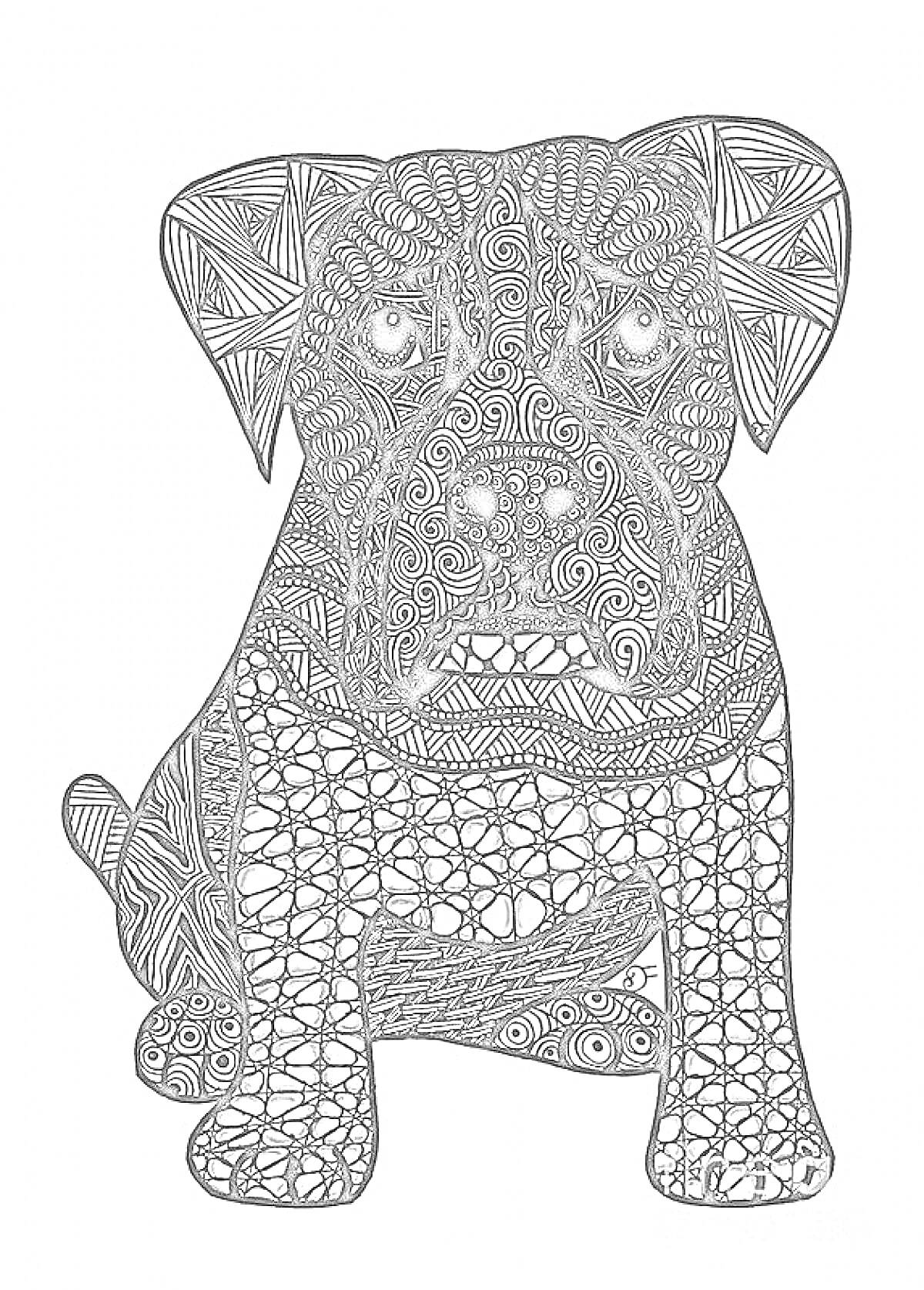 Раскраска Антистресс раскраска - собака с узорами