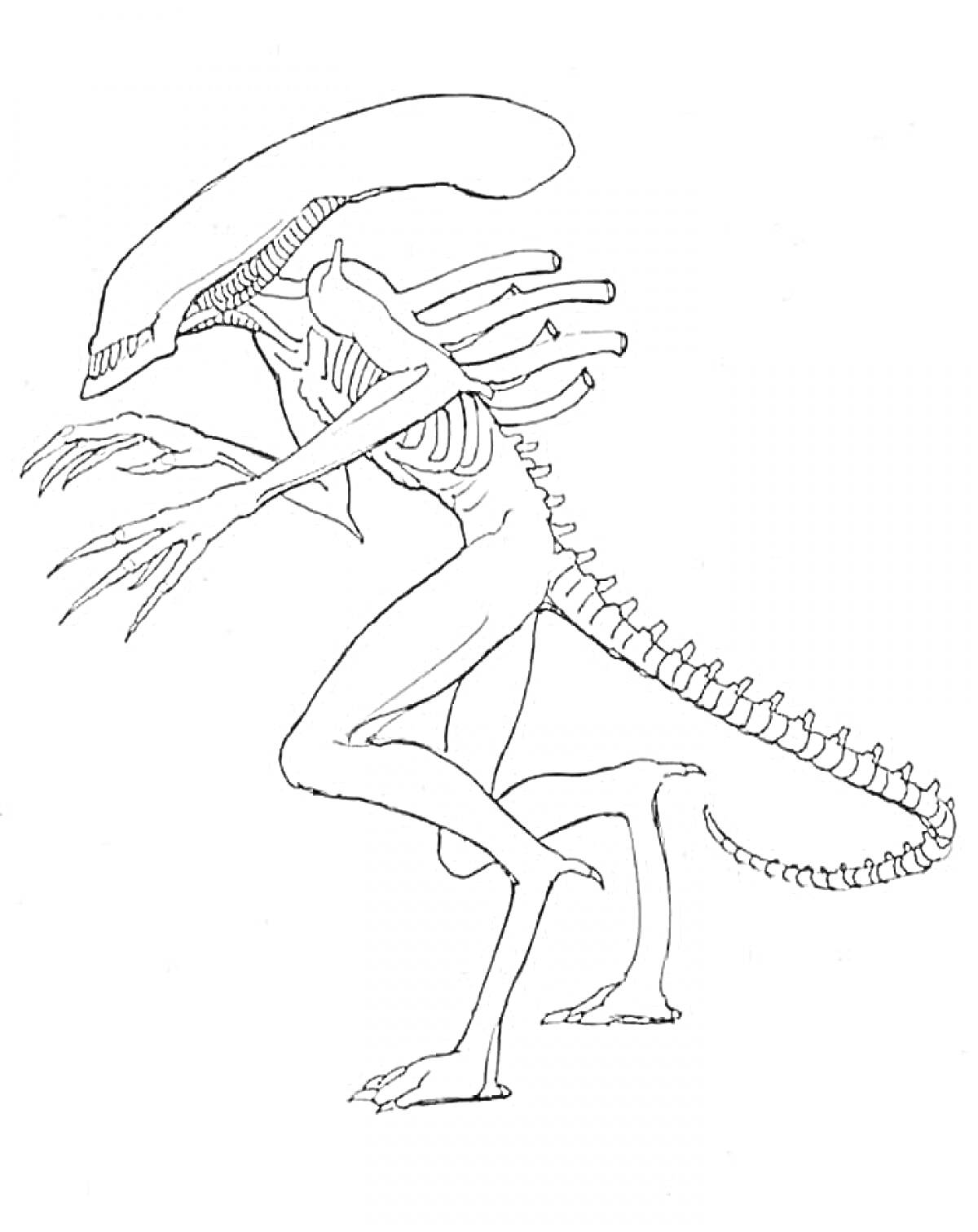 Раскраска Существо с длинной головой, когтями и хвостом, напоминающее монстра или пришельца