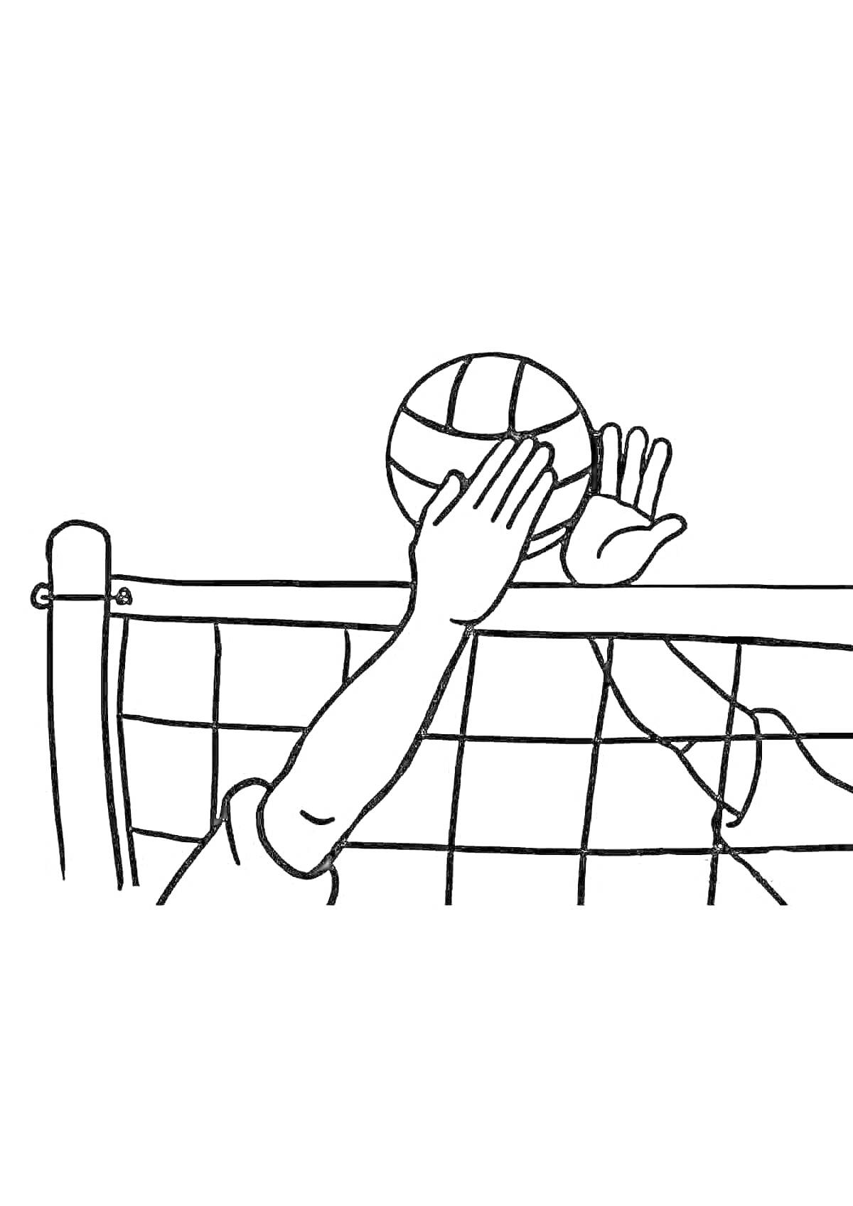 На раскраске изображено: Волейбол, Сетка, Руки, Спорт, Активность