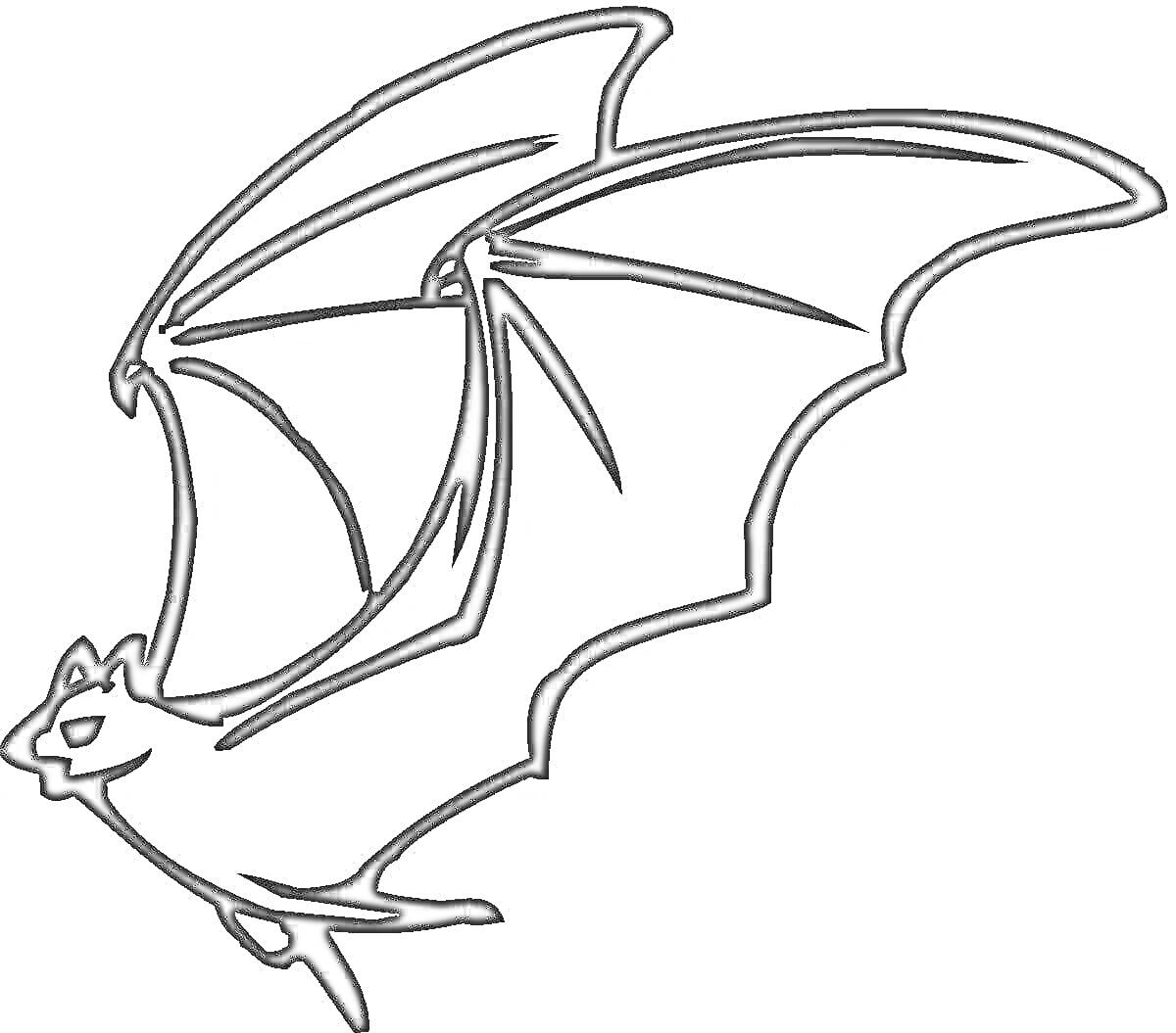 На раскраске изображено: Летучая мышь, Крылья, Полет