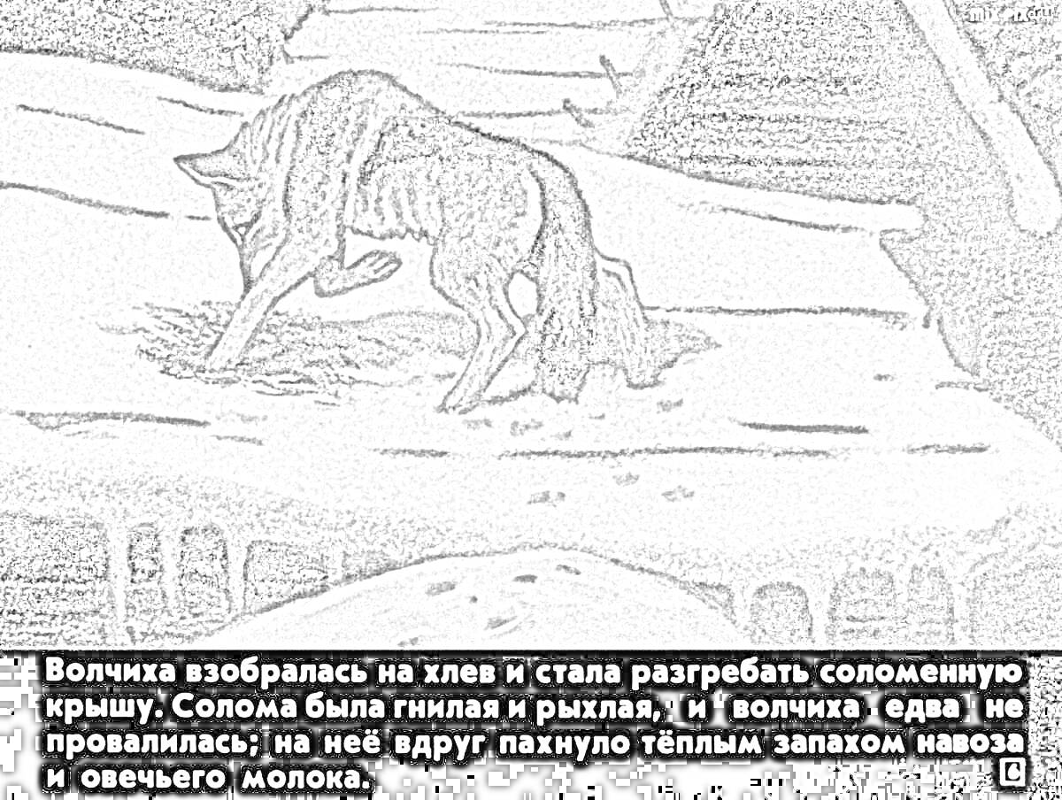 На раскраске изображено: Волчица, Соломенная крыша, Ночь, Рассказ, Иллюстрация