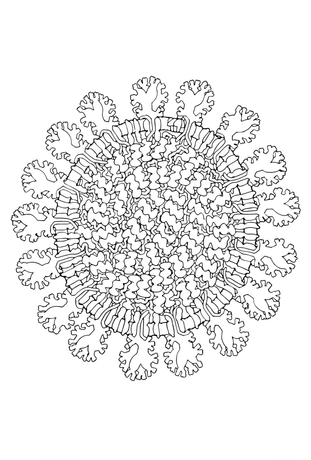 Раскраска Вирус с белковыми шипами и оболочкой