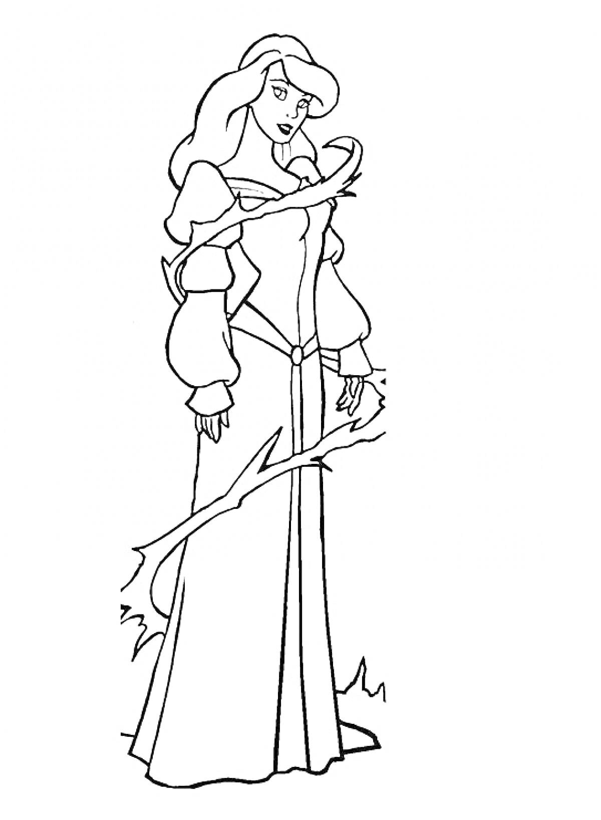 Раскраска Принцесса в длинном платье с длинными рукавами и лебедем