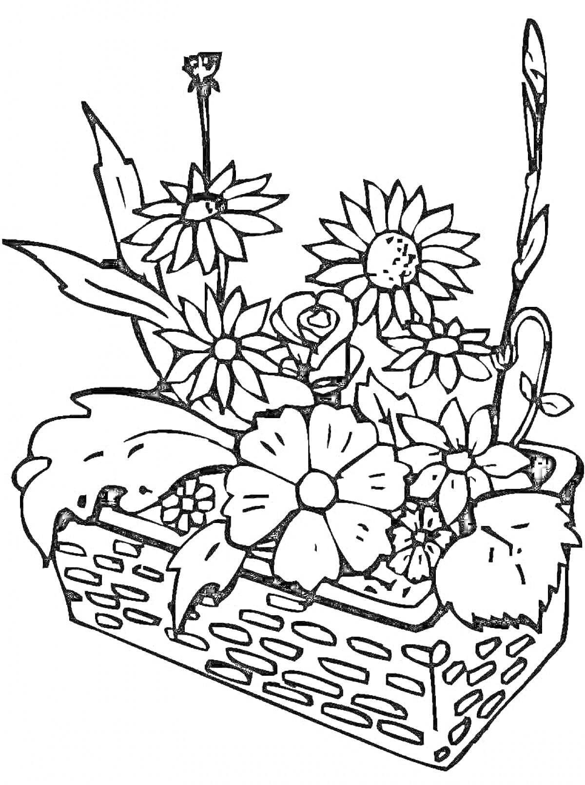 На раскраске изображено: Цветы, Клумба, Корзина, Лепестки, Листья, Сад, Растения