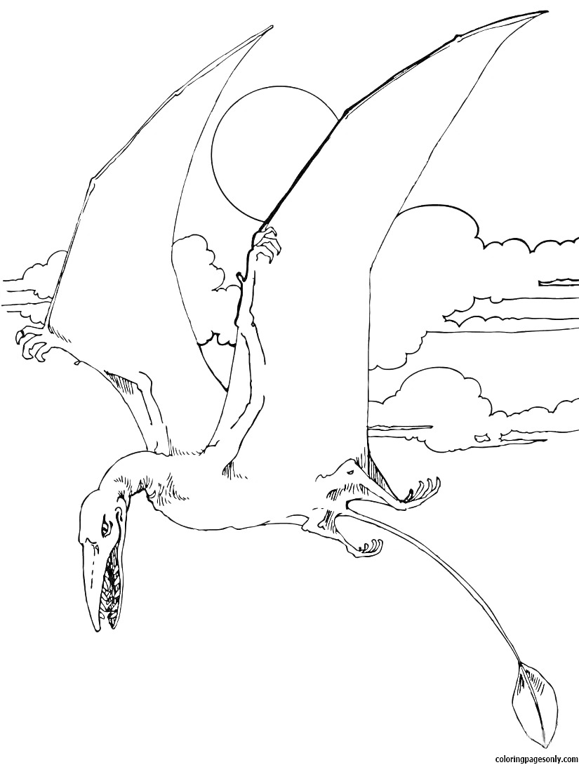 На раскраске изображено: Птеродактиль, Динозавр, Солнце, Облака, Небо, Крылья, Природа, Доисторическая эпоха