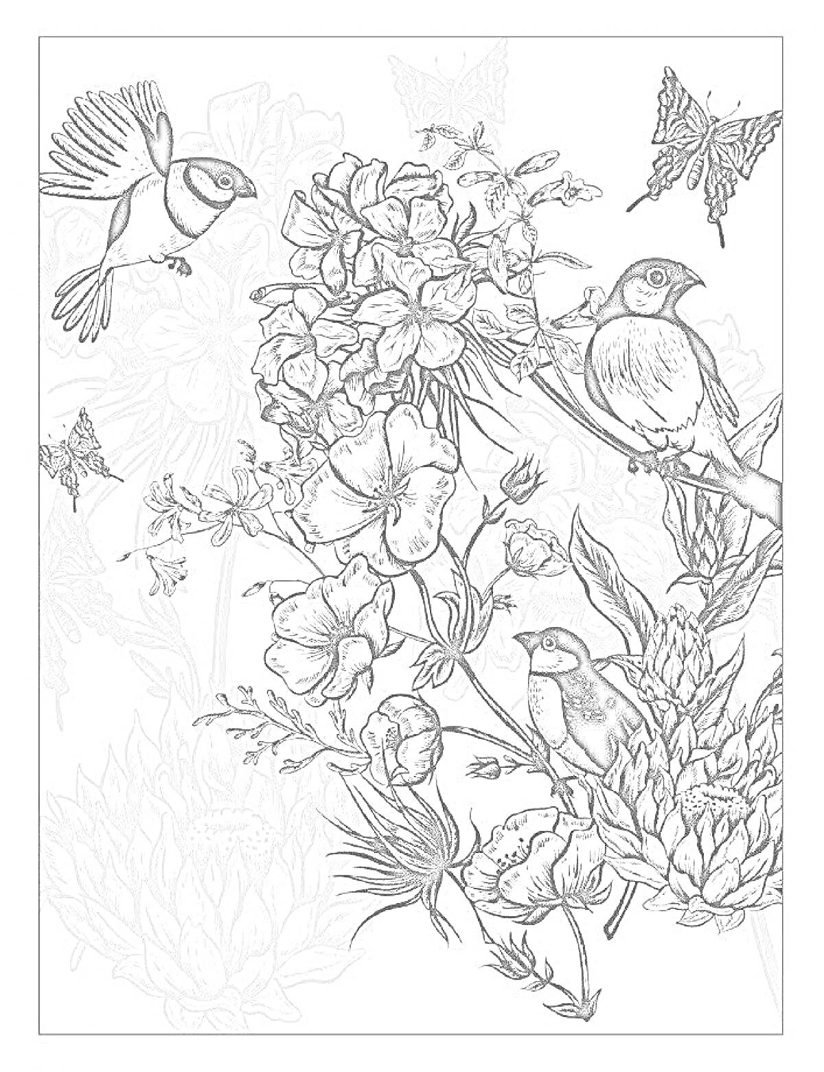 Раскраска Птицы, цветы и бабочки
