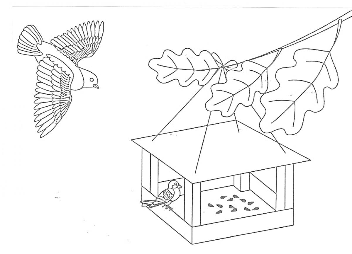 На раскраске изображено: Скворечник, Кормушка, Дубовые листья, Еда для птиц, Птица