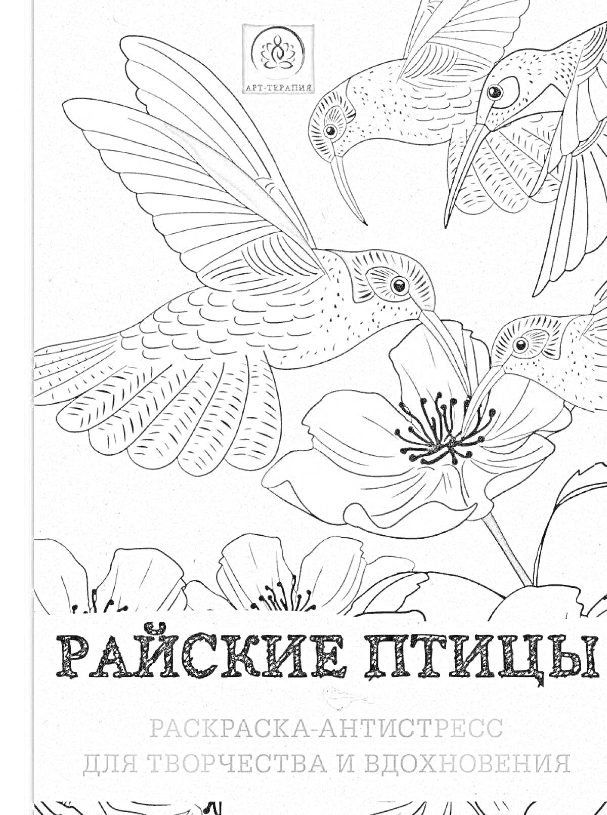 На раскраске изображено: Колибри, Цветы, Антистресс, Творчество, Вдохновение