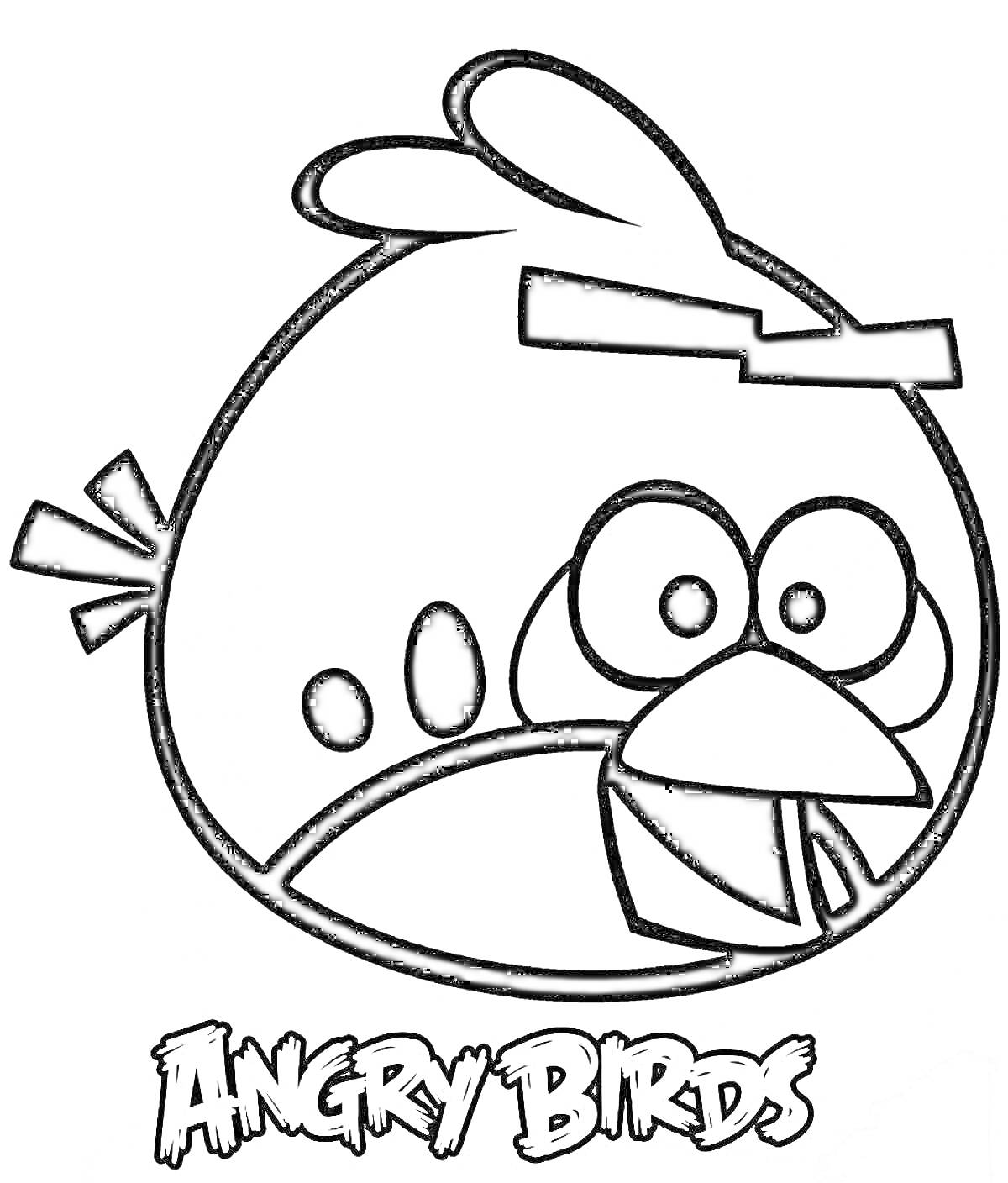 Раскраска Голова птицы с хохолком и клювом из Angry Birds, заголовок 