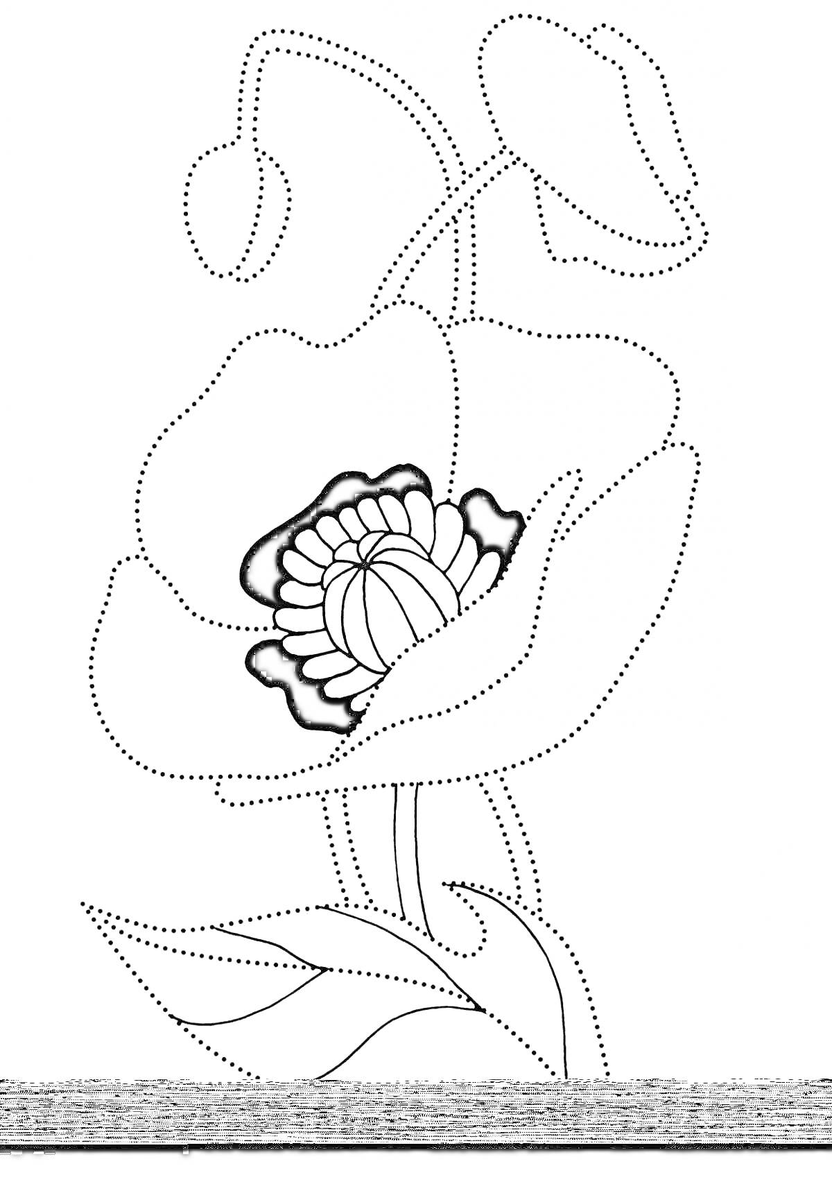 Раскраска Мак с бутонами и листьями (линейный контур)