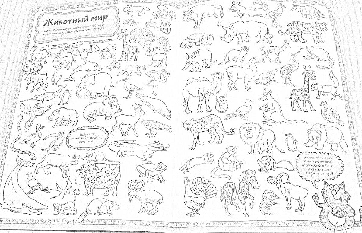 На раскраске изображено: Лев, Слон, Белка, Тигр, Медведь, Кенгуру, Лиса, Крокодил, Черепаха, Гиппопотам, Верблюд, Носорог, Для детей, Животные, Жирафы, Зебры