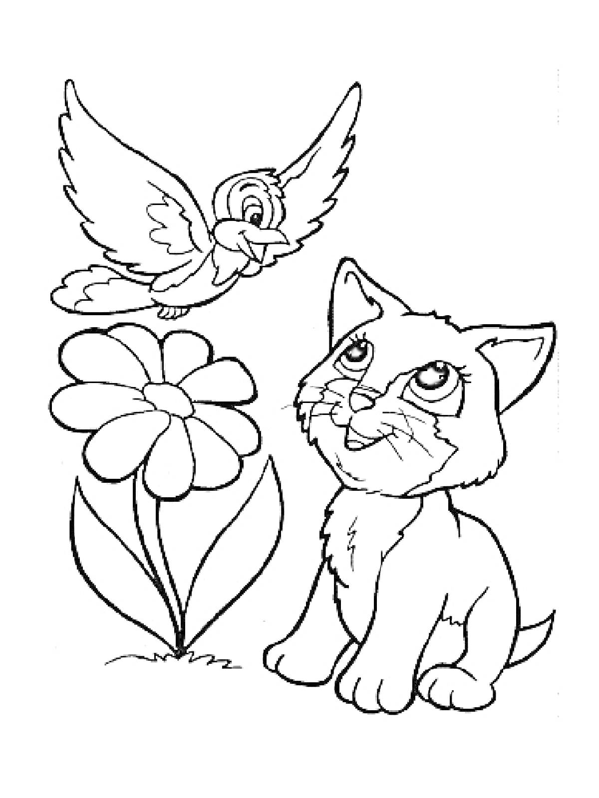 Раскраска Котенок рядом с цветком, наблюдающий за летящей птицей