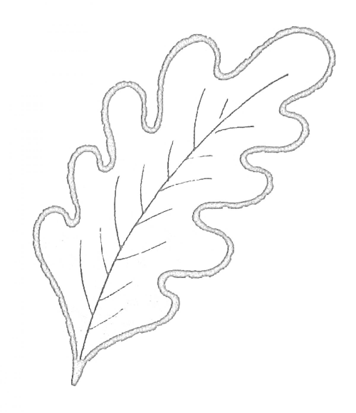 На раскраске изображено: Листья, Дуб, Природа, Осень, Ботаника, Деревья, Контурные рисунки