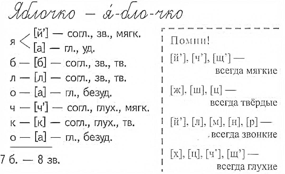 Фонетический разбор слова 