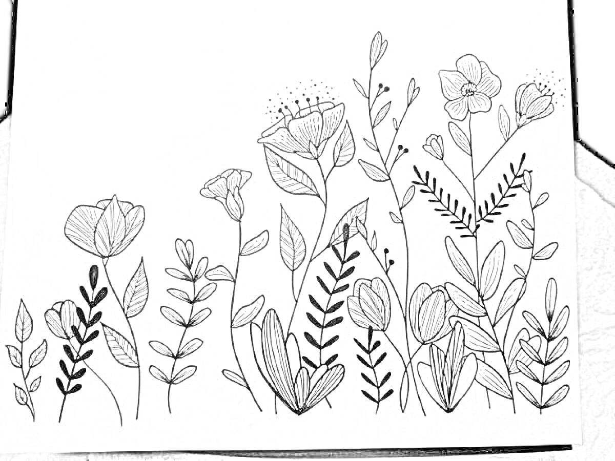 На раскраске изображено: Скетчбук, Цветы, Листья, Природа, Ботаника, Линии