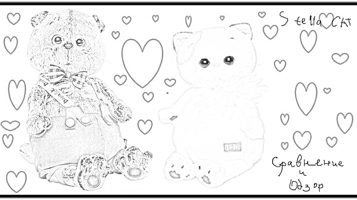 Лили и Басик, сравнение и обзор: два котенка с сердечками