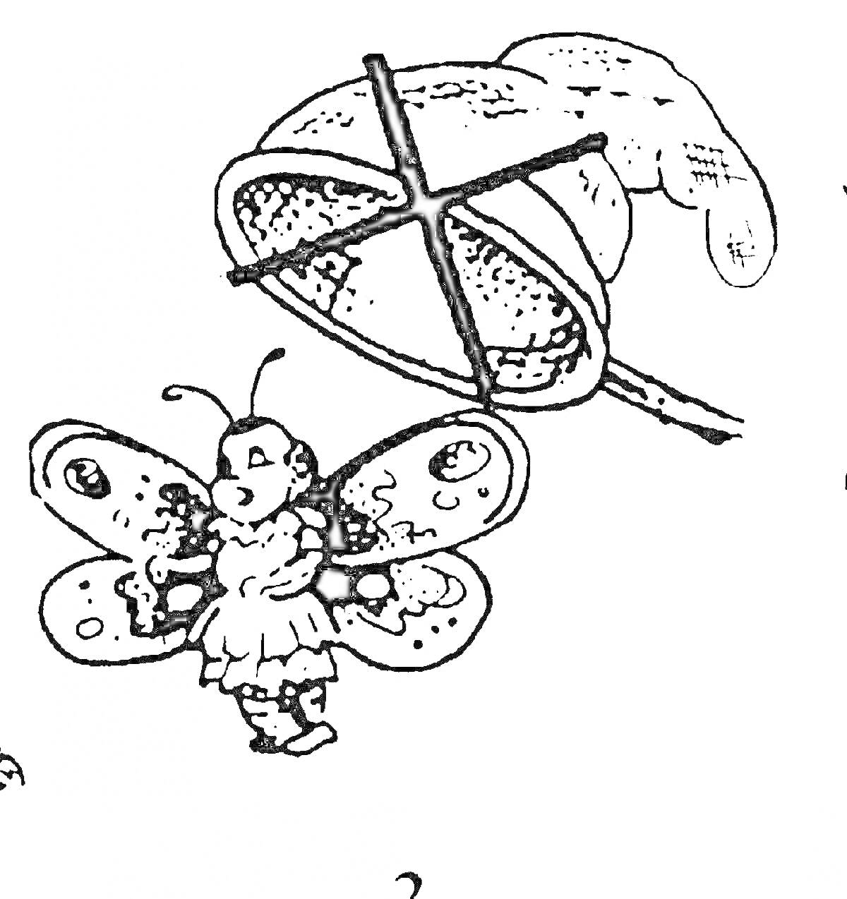 Раскраска Не ловите бабочку сачком. Бабочка и сачок с крестом