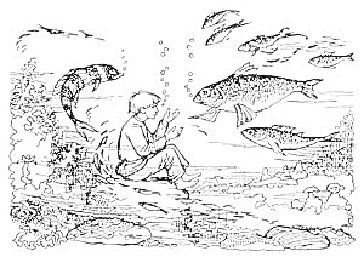 Раскраска Евсейка под водой среди рыб и водорослей