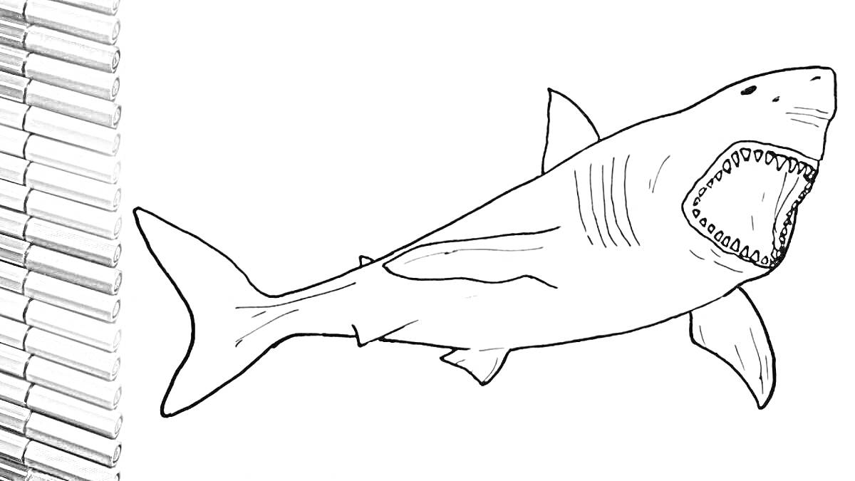На раскраске изображено: Мегалодон, Карандаши, Рыба, Акулы, Океаны, Морские животные
