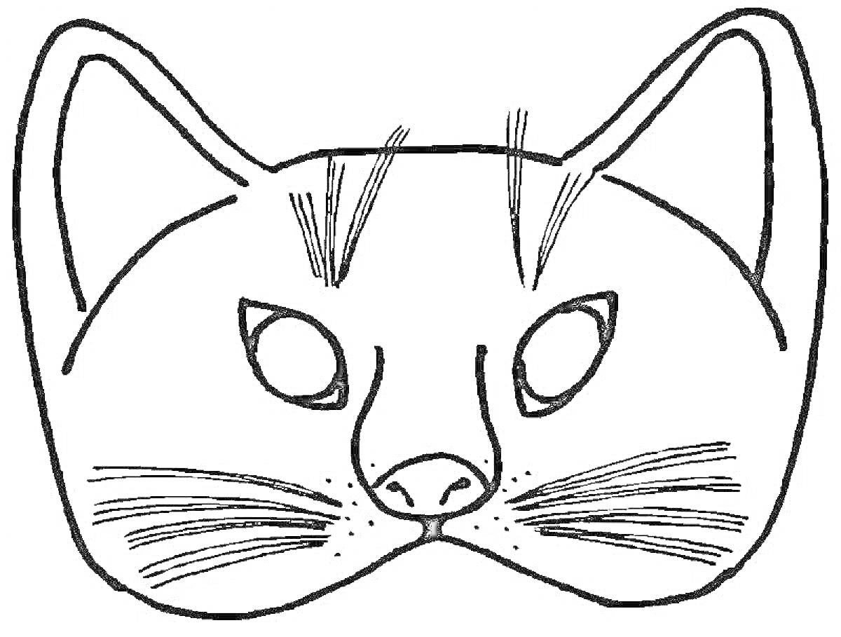 Раскраска мордочка кота с усами, ушами и пустыми глазами