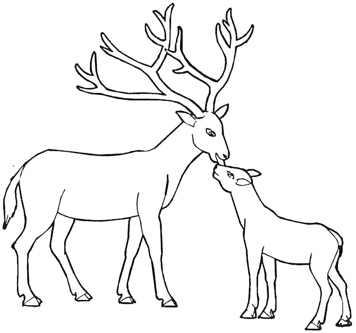 На раскраске изображено: Северный олень, Рога, Природа, Лес, Животные, Олень
