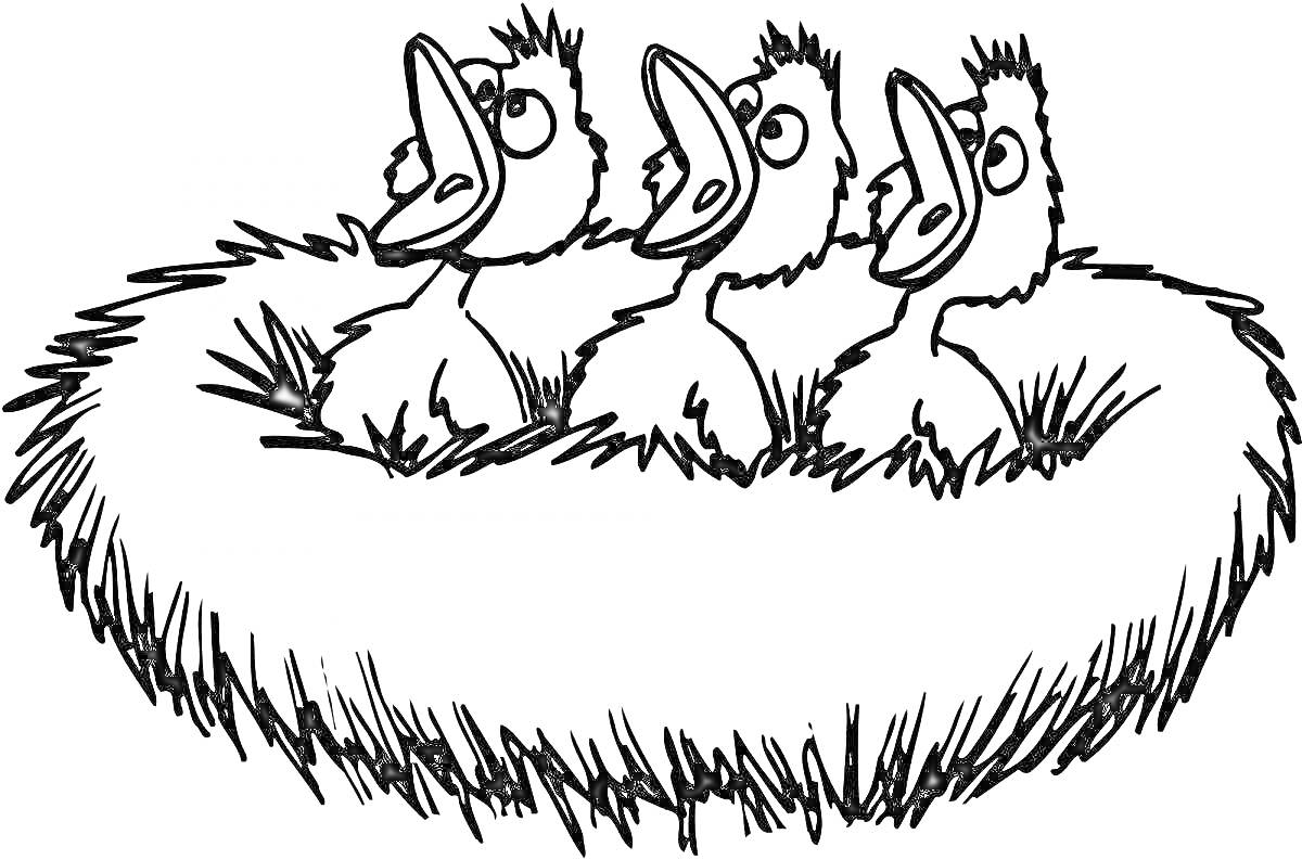 На раскраске изображено: Гнездо, Творчество, Для детей